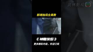 【神鵰俠侶1995】郭靖獨闖全真教！shorts神鵰俠侶古天乐李若彤杨过小龙女 [upl. by Anelagna87]