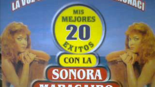 SOMOS DIFERENTES  LA SONORA MARACAIBO [upl. by Tnattirb307]