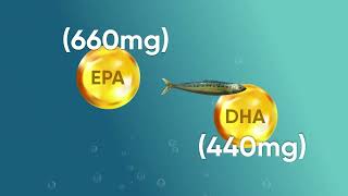 Omega 3 Fish Oil  2000mg 240 Softgels  660mg EPA amp 440mg DHA  WeightWorld UK [upl. by Allrud]