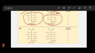 MetabolismOfCarbohydrates [upl. by Akinat]