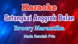 Karaoke Setangkai Anggrek Bulan  Broery Marantika Karaoke [upl. by Lussi164]