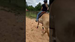 Its me vs me dedication dream horse barrelracing barrelhorse nfrrodeo barrelracer fypシ゚ [upl. by Vine]