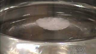 Sodium Acetate Crystals Supersaturated Solution [upl. by Ayaladnot]