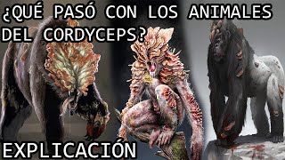 ¿Qué Paso con los Animales Infectados del Cordyceps Explicación  The Last of Us HBO Max [upl. by Matthei]