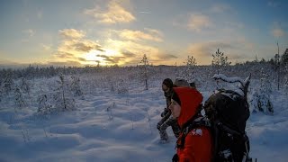 Hiking in Estonia  AlamPedja Nature Reserve [upl. by Dnalyag594]