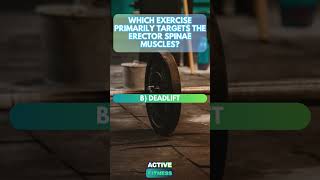 Targeting the Erector Spinae Muscles  Fitness Trivia [upl. by Adnael]