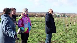 Lassociation le Clos des Vieilles Vignes à Montesson [upl. by Ai435]