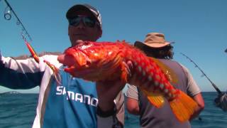 Perth Fishing TV Episode 3  Jigging vs Baits [upl. by Chirlin648]