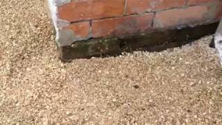 Rising damp problems [upl. by Joann437]