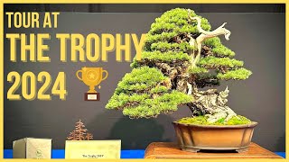 The Trophy 2024 Bonsai Exhibition [upl. by Seppala]