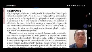 ESSENTIAL THROMBOCYTOSIS Medical Lecture Blok 12 [upl. by Ahtiuqal333]