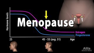 Menopause Perimenopause Symptoms and Management Animation [upl. by Aeki671]