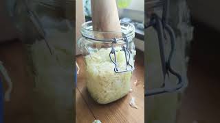 Sauerkraut geht schneller als viele denken rezept food fermenting sauerkraut [upl. by Bonns]