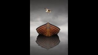 The Lonesome Boatman by Finbar Furey [upl. by Elijah]