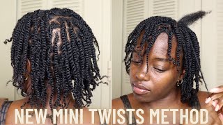 New Mini Twists Method for juicy stretched twists  Natural Hair [upl. by Alegna]