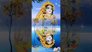 𝗥𝗔𝗗𝗛𝗘 𝗥𝗔𝗗𝗛𝗘 🙏🙏radhakrishna krishnabhajan vrindavan bhajan bhakti love radheshyam shortsfeed [upl. by Yentterb]