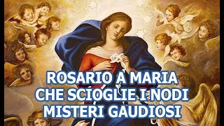 Rosario a Maria che scioglie i nodi  Misteri Gaudiosi [upl. by Alleirbag]