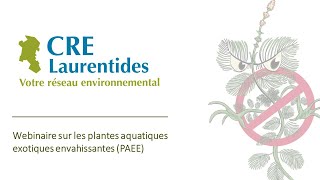 Webinaire sur les plantes aquatiques exotiques envahissantes PAEE [upl. by Ellierim]