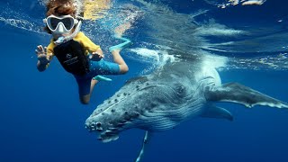 4 YR OLD SWIMMING WITH WHALES [upl. by Eislel]