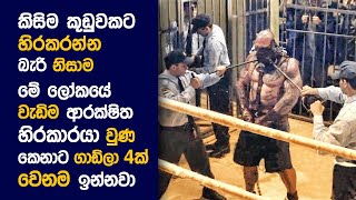 🎬 අන්disputed  Movie Review Sinhala  Movie Explanation Sinhala  Sinhala Movie Review [upl. by Palgrave]