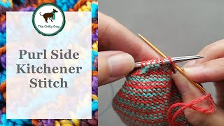 Purl Side Kitchener Stitch [upl. by Timotheus]