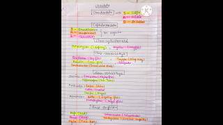 Phylum chordata to class amphibians all ncert examples animalkingdomneet zoologynotes pwnotes [upl. by Sherborn]