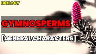 Gymnosperms  General characteristics  Biology  Educational info [upl. by Grossman376]