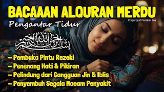 Al Quran Merdu Pengantar Tidur Surah Al Mulk Ar Rahman Al Waqiah Penenang Hati amp Pikiran [upl. by Nertie734]