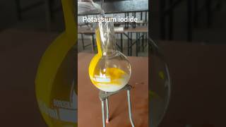 Lead nitrate reaction with kl chemistry ytshorts viralvideo trending organicchemistry [upl. by Aluap]