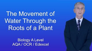 A Level Biology Revision quotMovement of Water Through the Roots of a Plantquot [upl. by Iccir]