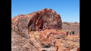 ¿Qué es toda la ROCA de este mundo  ¿Cómo fueron cortados los árboles gigantes antiguos PARTE 1 [upl. by Docile]