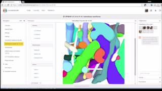 HBP Brain Simulation Platform Use Case 0141516 Subcellular workflows [upl. by Halimaj648]