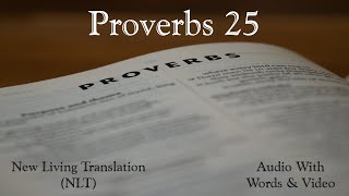 Proverbs 25  Holy Bible  New Living Translation NLT Audio Bible With Video [upl. by Ultan]