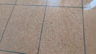 Leveling and Polishing Terrazzo The Second Stage of Terrazzo Finishing [upl. by Hertzog692]