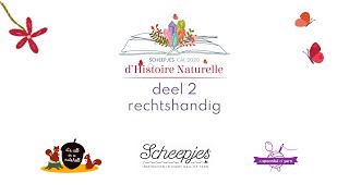 D’Histoire Naturelle  Deel 2 RECHTSHANDIG  Scheepjes CAL 2020 [upl. by Ettenav]