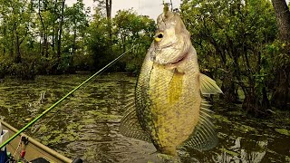 Jig and bobber tips and tricks for October Crappie fishing [upl. by Nett]