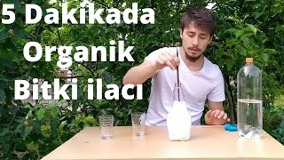 BİBER BİTKİSİNE UYGULAMAYIN Bitkiler İçin Doğal Böcek İlacı Nasıl Yapılır [upl. by Yrok]