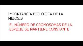 Biología  Importancia biológica de la meiosis [upl. by Reyaht]