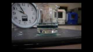 Time Lapse of Polyaniline Synthesis [upl. by Annaeerb]