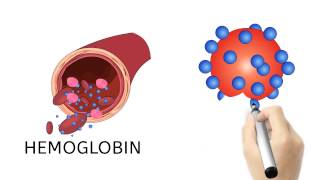 Hemoglobin A1c amp Diabetes [upl. by Einnhoj]