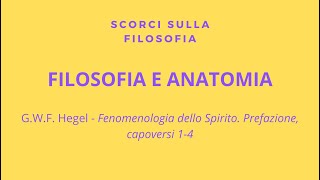 Hegel  Filosofia e anatomia [upl. by Wendeline169]