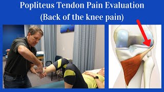 Popliteus Tendon Evaluation Back of the knee pain [upl. by Klemens]