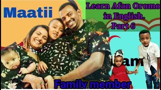 Mergitu Workineh  obomboleettii  ኦቦምቦሌቲ  New Ethiopian Oromo music 2021 Official Video [upl. by Ashton296]