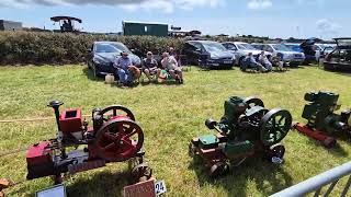 Stationary Engines at St Buryan Rally 2024 [upl. by Otilopih]