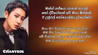 EXO 🛑 Gravity 🛑  Lyrics in Sinhala  සිංහල තේරුම [upl. by Caspar]