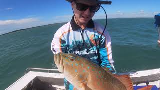 Boyne Tannum Hookup Fishing for CORAL TROUT in terrible weather Gladstone Queensland  Ep  32 [upl. by Thalassa]