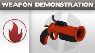 Weapon Demonstration Flare Gun [upl. by Neelrad]