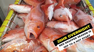 6112024 Red Snapper 39Hr Offshore Fishing Trip  Weather Didnt Stop Us  Hubbards Marina [upl. by Hgeilyak]