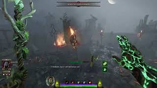 Vermintide 2 True Duo legend  Empire in flames  SOTTShade [upl. by Allevon]