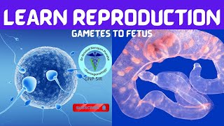 The Miracle of Life From Gametes to Fetus with GNP Sir [upl. by Ekusuy]